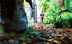 恐龙|史前灭绝的恐龙是怎么生存的？整个地球全部都是恐龙是怎样的世界？