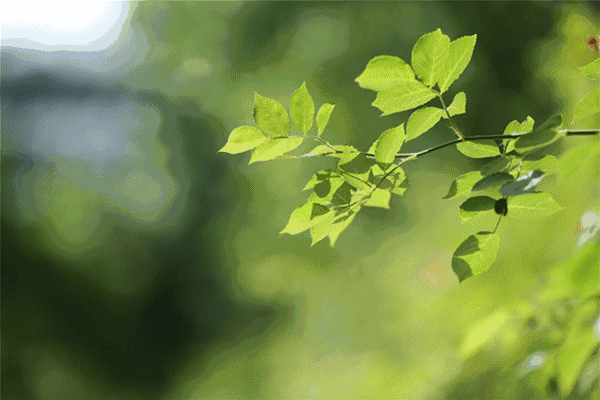 立秋|盼一丝凉意,自在爱青岛_腾讯新闻