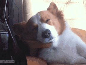 赖床|多睡一分钟给身体多充一分钟电？赖床可不是充电！