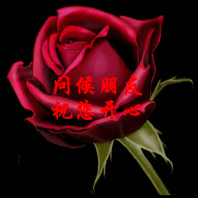 我就是从这儿跳下去,也不会用中老年表情包的!……真香