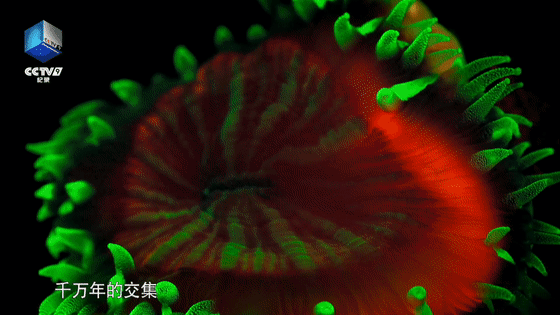 水下中国|遇见沉落海底的故事 19：23【水下中国 2】