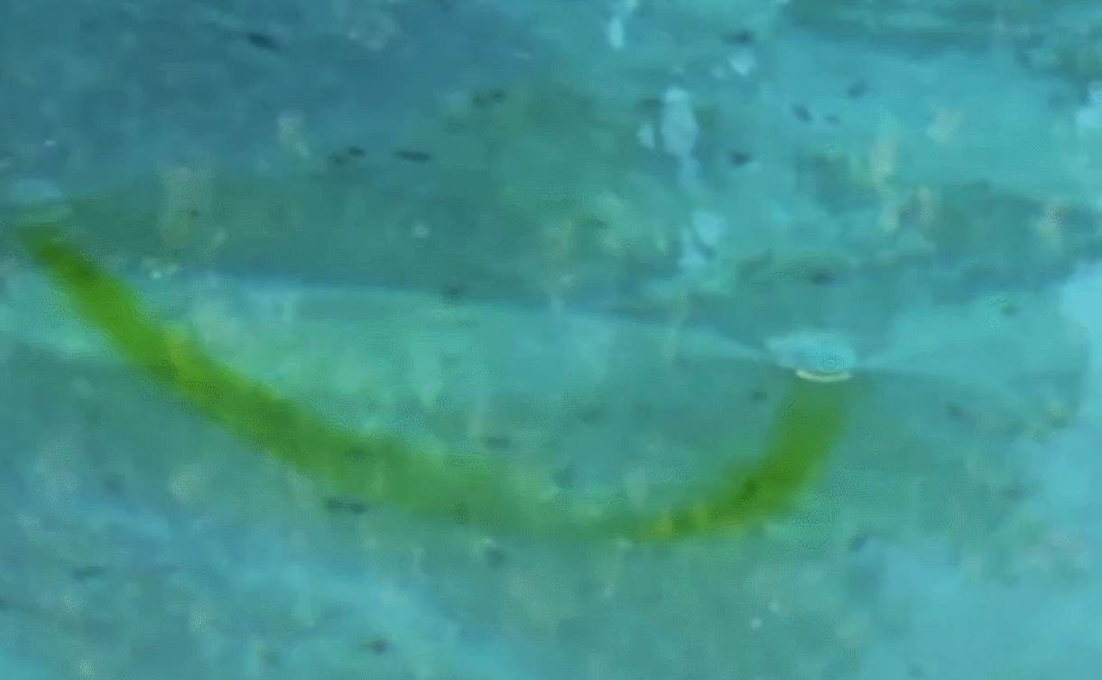 黑洞|穿越黑洞后，会发生什么？科学家实验告诉你答案