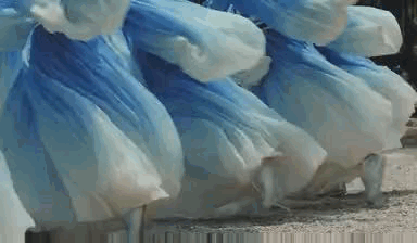 漂亮书生|青春校园＋现代古风，《漂亮书生》如何与年轻人“同频共振”？