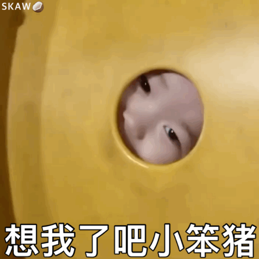 黄夏温表情包合集 想我了吧?小笨猪