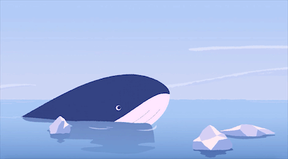 北极|短短不到三分钟，竟然把我看哭了