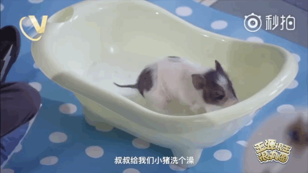 王源|王源最新mv有爆破环节！导演爆料拍摄细节，粉丝担心又敬佩