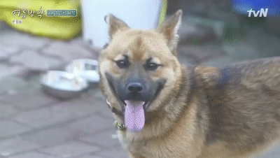 暑假|随随便便上9.2分，这姐弟俩的生活我能躺着看100集