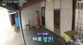 暑假|随随便便上9.2分，这姐弟俩的生活我能躺着看100集