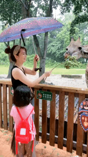 张丹峰|洪欣带女儿逛动物园，6岁彤彤身高到妈妈腰间，不见张丹峰陪同