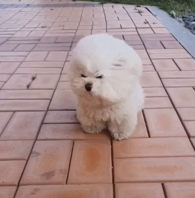 385_391gif 动态图 动图