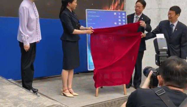 北京国际电影节组委会|终于不被群嘲？北京国际电影节组委会公布本届电影节主视觉海报