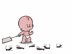 狂犬病毒|蚊子会传播狂犬病吗？