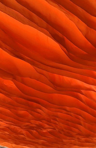 设计师|纸上留白，只等“风”来！