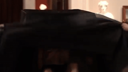 车祸|我们必须进化得这么丑，才能不怕车祸？