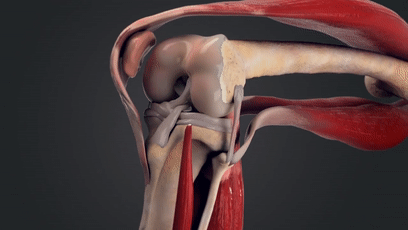 车祸|我们必须进化得这么丑，才能不怕车祸？