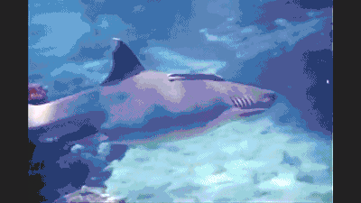 科幻片|中国影史第一部硬核科幻片，40年前的神作，被刘慈欣奉为鼻祖！