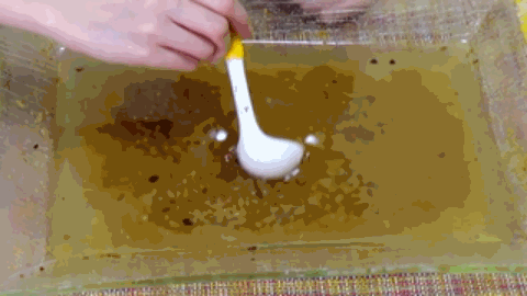 吃播|刚登顶吃播界top1就光速翻车，越洗越黑还亲手把自己作凉了？