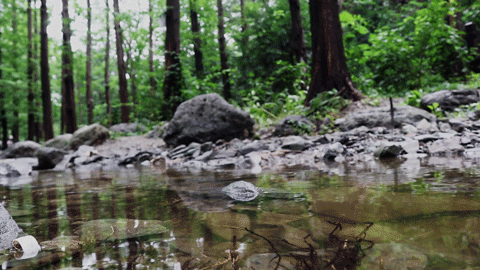 北京植物园|大雨过后，北京植物园蓄水2万吨，樱桃沟再现“宛平新八景”