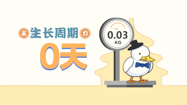 樱桃谷鸭|18块钱的廉价烤鸭，真的能吃吗？