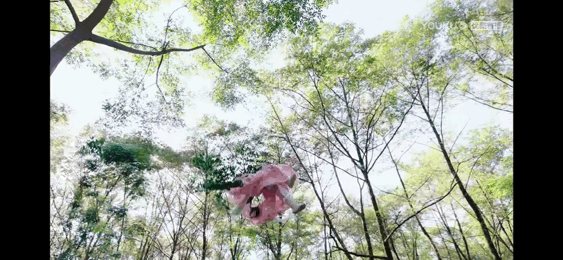 仙侠剧|仙侠剧男女主丑，是原罪吗？