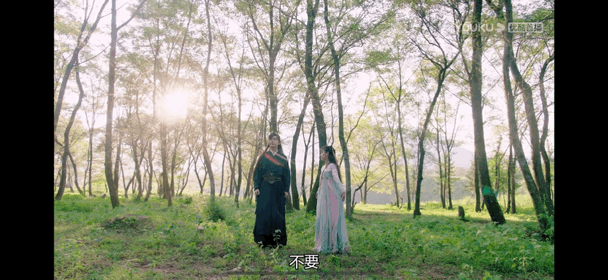 仙侠剧|仙侠剧男女主丑，是原罪吗？