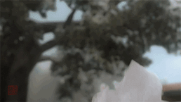 罗云熙|演员罗云熙十年芭蕾破茧成蝶 “一杯敬努力一杯敬光芒”