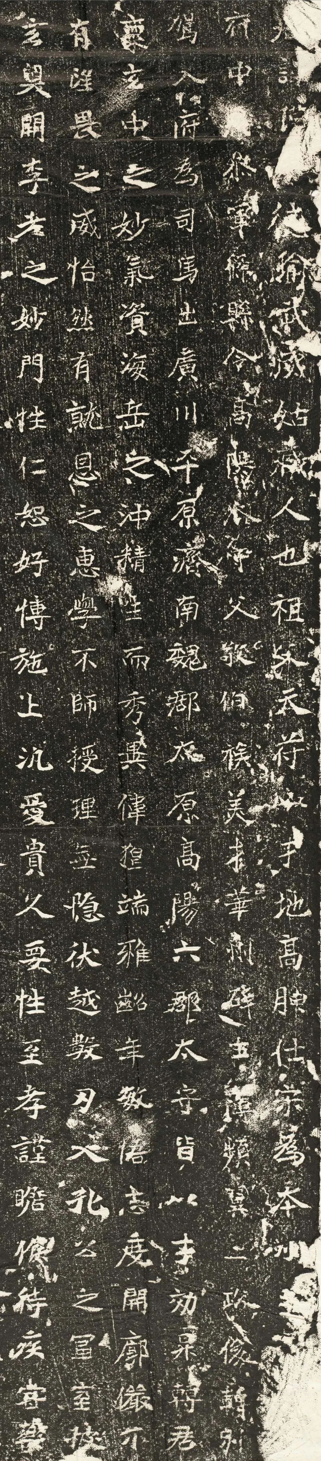 贾瑾墓志|北魏《贾瑾墓志》欣赏，潇洒自在