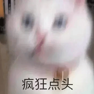 奶茶表情包:熊猫搞笑表情包动态,人生第一次撒谎 一般是从写作文开始