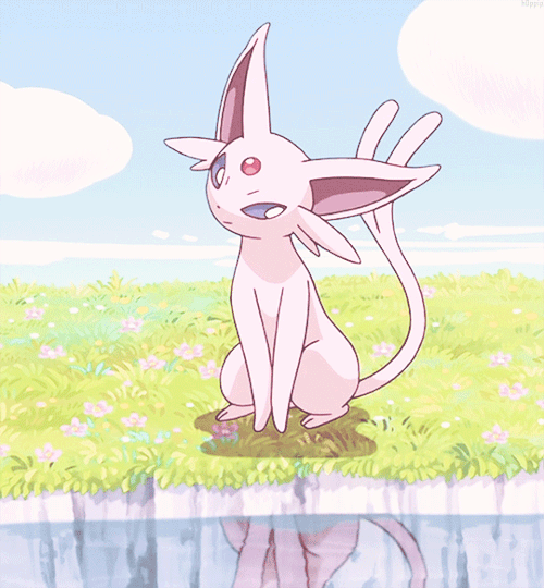 精灵宝可梦看完这些可爱的伊布们你最喜欢哪只伊布