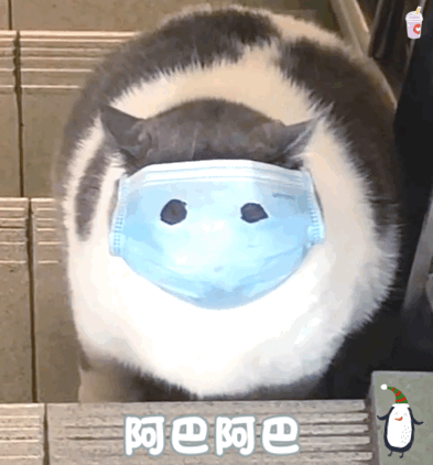 表情包阿巴阿巴
