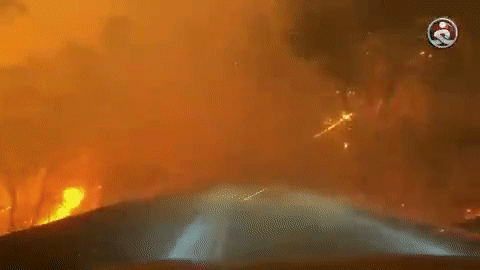 加州|加州野火肆虐空前灾难，川普却削减救济资金，因为加州反对他？