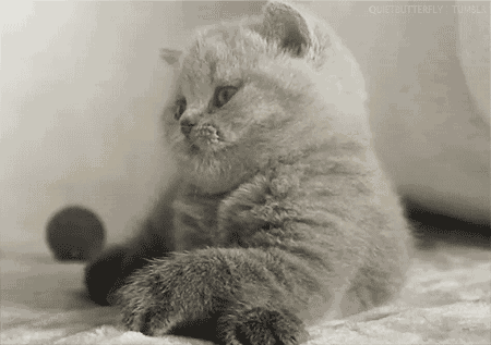 膝关节|女性膝关节比男性早“坏”10年！医生提醒几种运动加重磨损