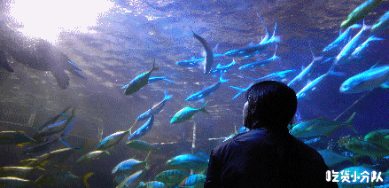 北京|9个北京小众景点，终于可以打卡了