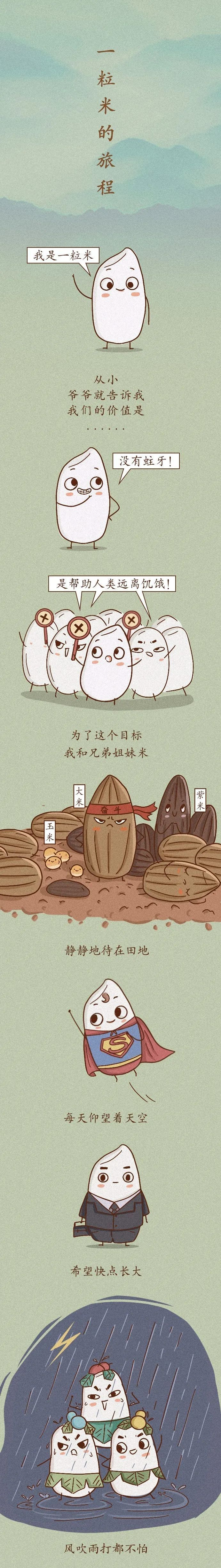 一粒米的旅程