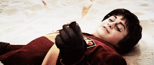 哈利抓住金色飞贼,赢得魁地奇球比赛.开心.