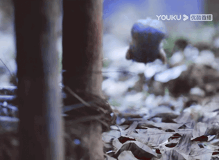 魔煞星|咋还希望剧情注水？