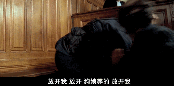 尼基塔|世界影史上知名女间谍，删减16分钟引进内地，至今依旧是标杆