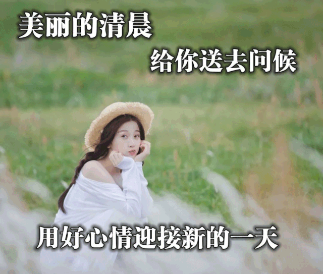 中老年表情包,生活只要适合自己,就是幸福!