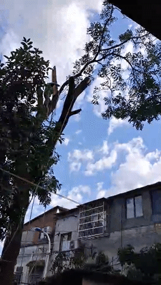 230_405gif 动态图 动图