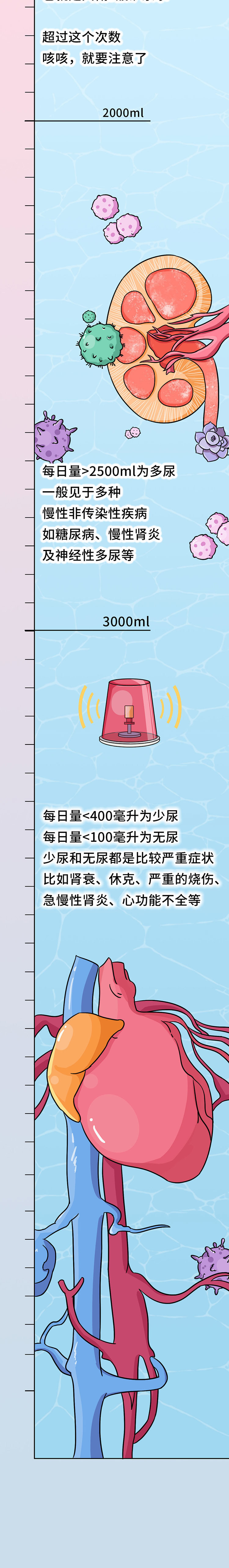 尿液|尿液的颜色越浅越好？尿越多说明肾脏越健康？尿液的秘密一文说清