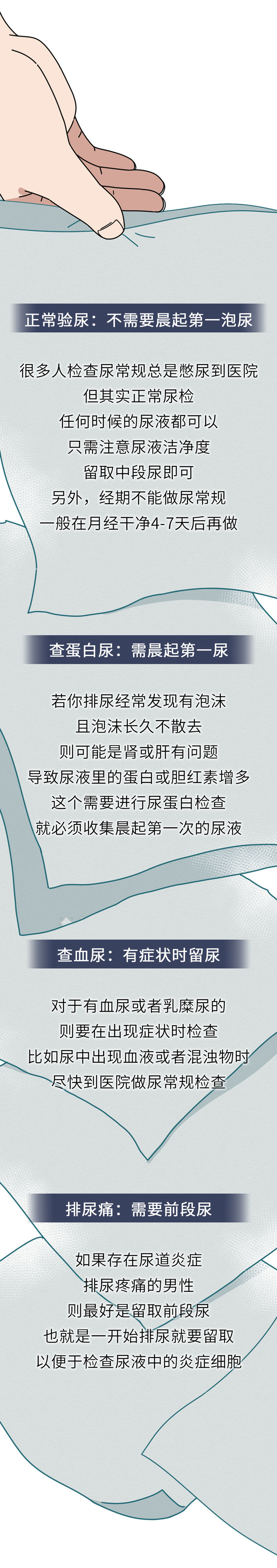 尿液|尿液的颜色越浅越好？尿越多说明肾脏越健康？尿液的秘密一文说清