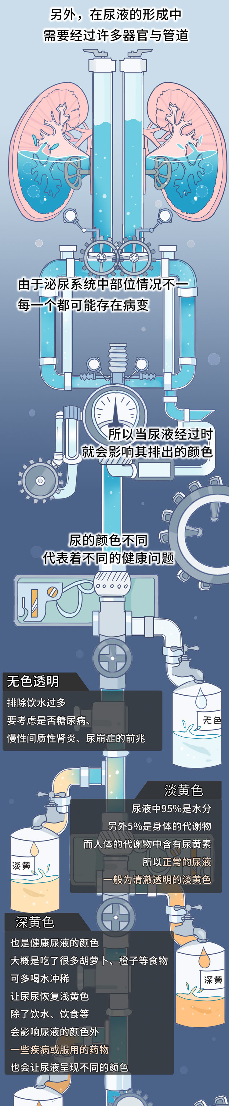 尿液|尿液的颜色越浅越好？尿越多说明肾脏越健康？尿液的秘密一文说清