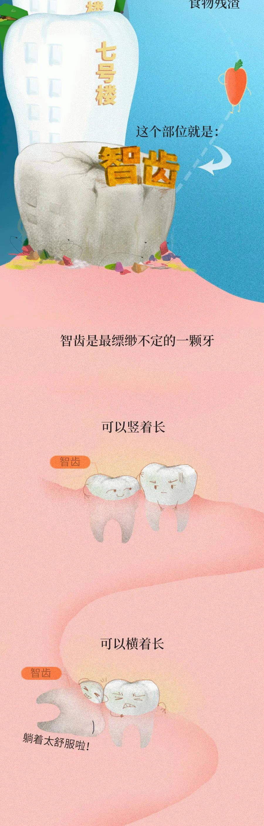 智齿|智齿是藏在嘴里的“垃圾桶”，牙疼那都是小事……