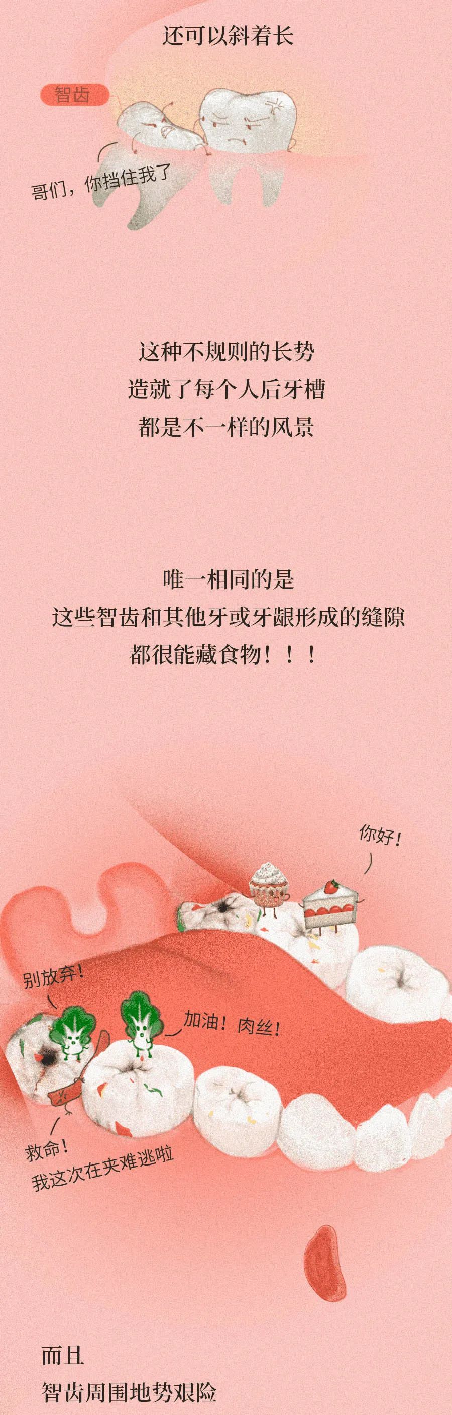 智齿|智齿是藏在嘴里的“垃圾桶”，牙疼那都是小事……