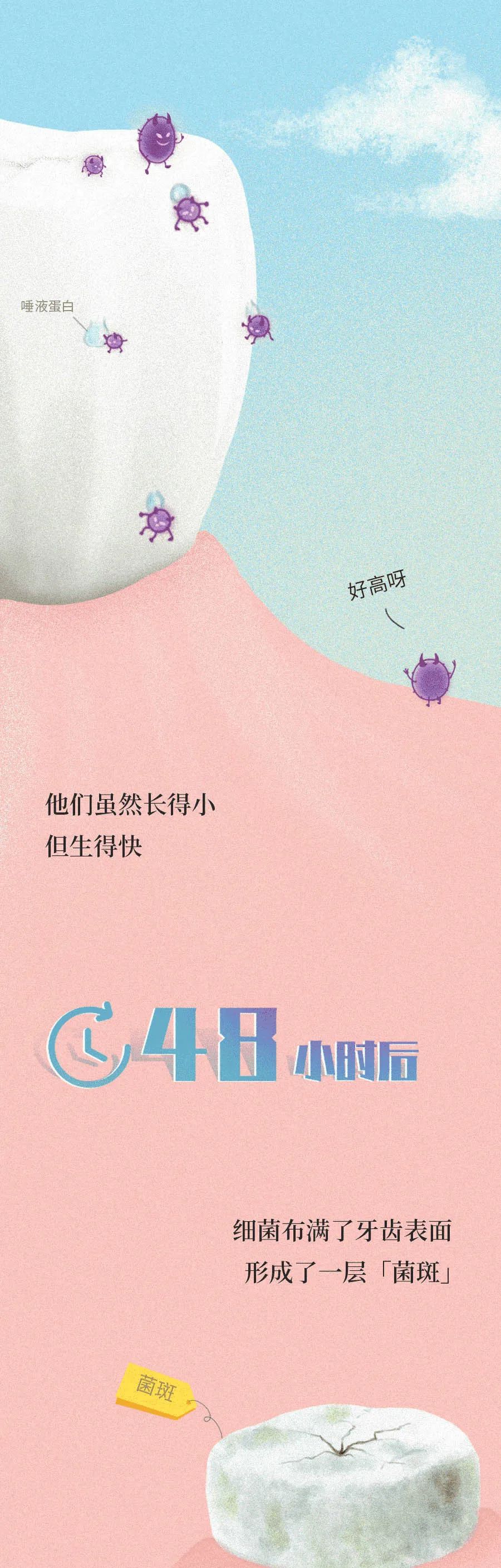 智齿|智齿是藏在嘴里的“垃圾桶”，牙疼那都是小事……