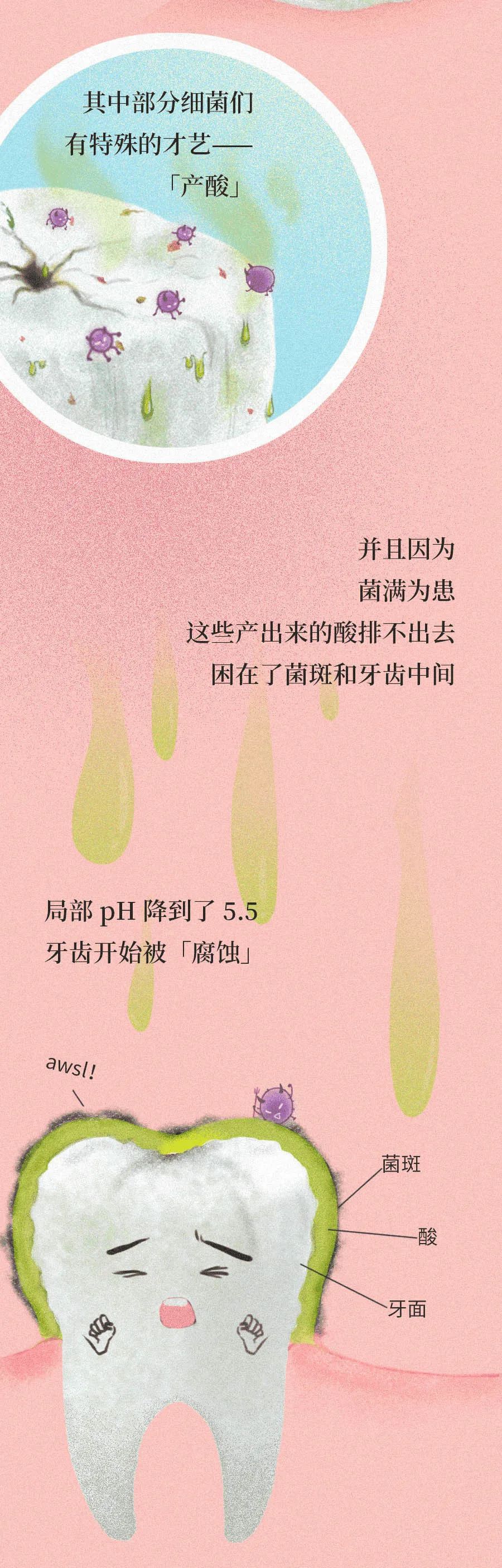 智齿|智齿是藏在嘴里的“垃圾桶”，牙疼那都是小事……