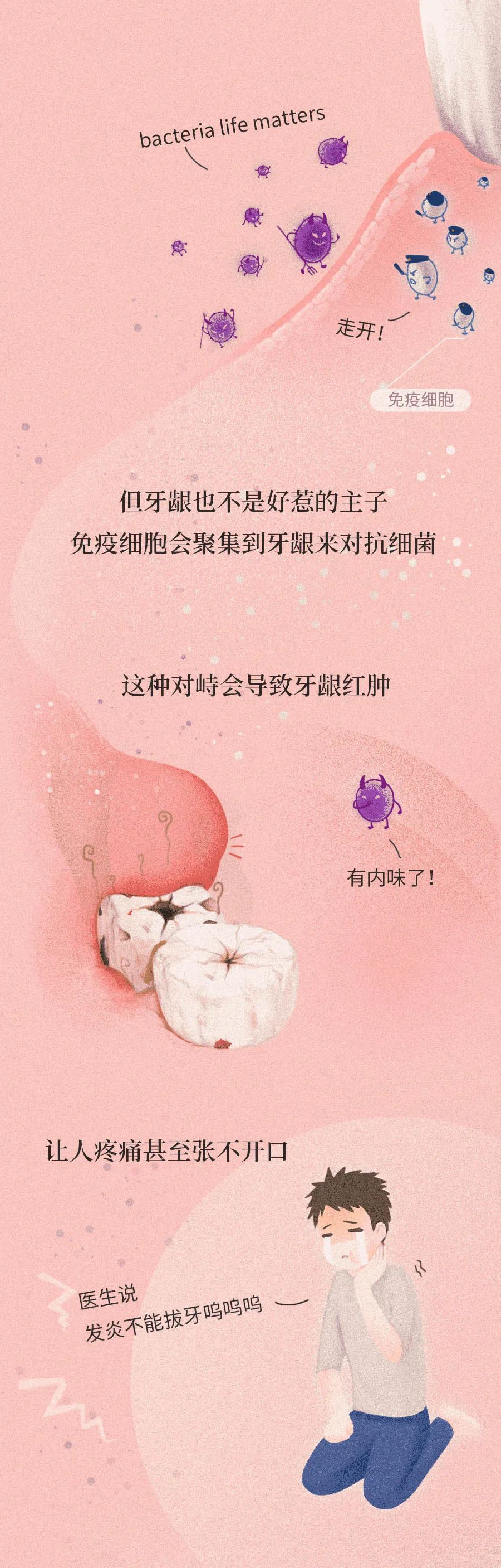 智齿|智齿是藏在嘴里的“垃圾桶”，牙疼那都是小事……