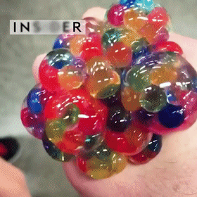 寄生蜂|注射病毒控制别人的脑子，这种动物让受害者甘于给自己养娃