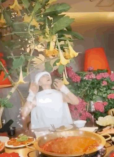 张宏民|娱论场丨张宏民杨丽萍们无儿无女，碍着你们谁了？