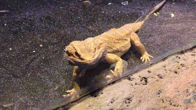 博物馆|远离人群，找寻隐于市的小众情怀